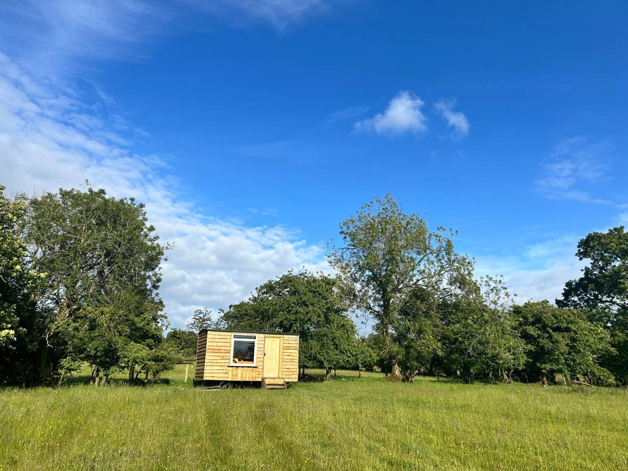 Hotel Off Grid Shepherds Hut Llansilin Exterior foto